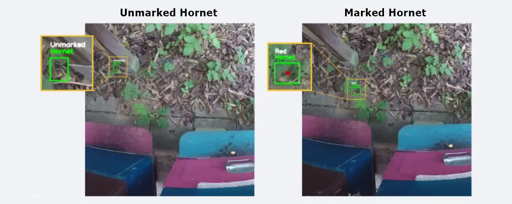 Hornet Detection and Prevention - Image 1